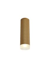 Seafood 6cm 1 Light 20cm Surface Mounted Ceiling GU10, Champagne Gold/Acrylic Ring